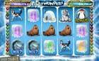 Icy Wonders slot